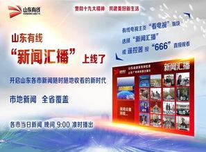 山东泰安新闻爆料平台,聚焦民生热点，揭示社会动态