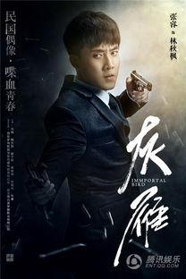 灰雁电视剧在线观看,揭秘神秘组织背后的爱恨情仇