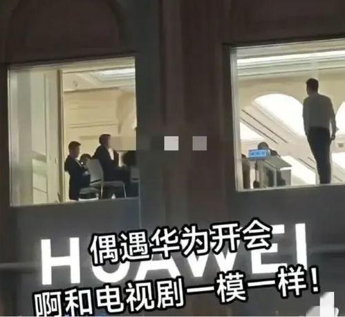 华为爆料女员工是谁啊视频,揭秘事件背后真相 第3张 华为爆料女员工是谁啊视频,揭秘事件背后真相 第3张